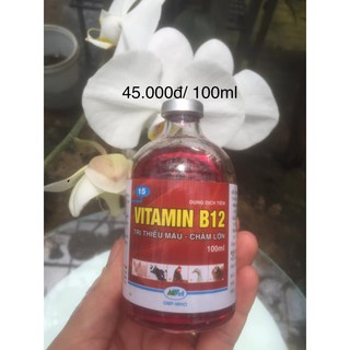 VITAMIN B12 -GIẢI ĐỘC LAN KHI SỐC PHÂN THUỐC,  XẢ THUỐC KÍCH , CHỐNG SỐC LAN DO VẬN CHUYỂN MẤT NƯỚC