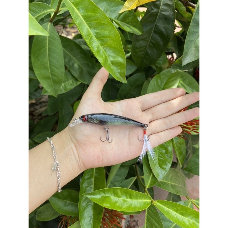 Mồi câu cá Chẽm, cá Mú, cá Ngão, cá Biển đuôi lông