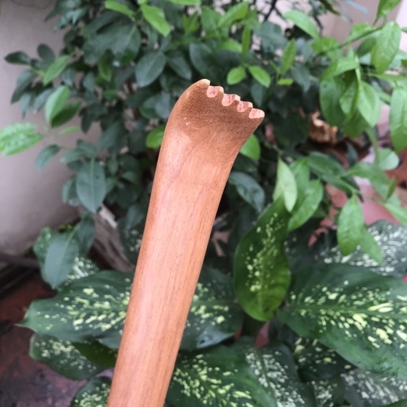 Cào gãi lưng bằng gỗ tự nhiên (MH894) HAHANCOSHOP