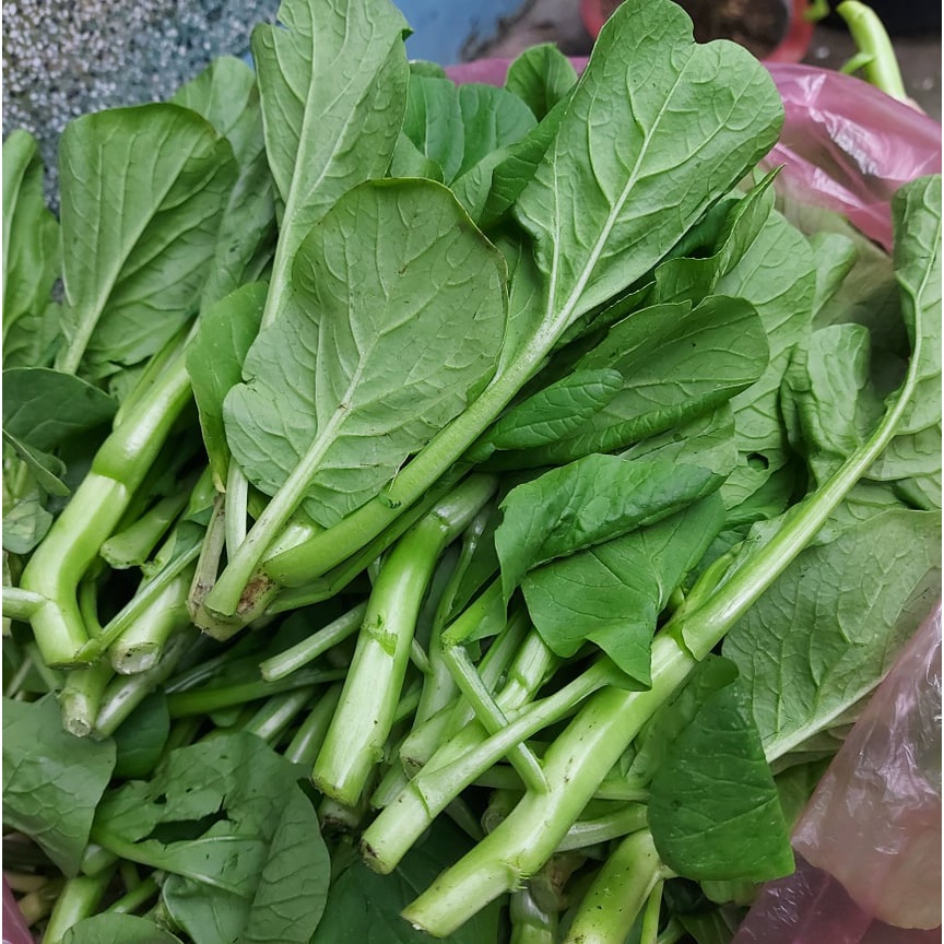 [Giao HCM trong ngày hỏa tốc] Rau Cải Ngồng Sạch Tươi Ngon tại Vườn Q12 1KG | BigBuy360 - bigbuy360.vn