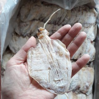 [500g] Mực khô Vân Đồn sz mini 100-120con/kg