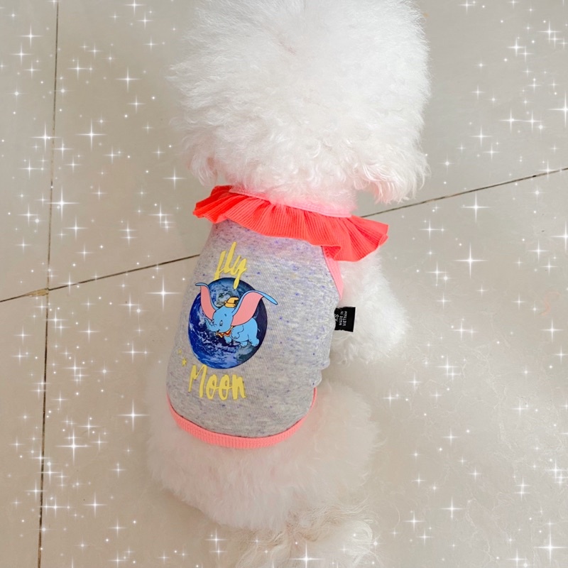 Quần áo chó mèo áo dây cổ bèo giá rẻ