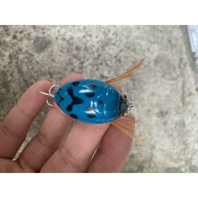 Mồi bọ cam câu lure