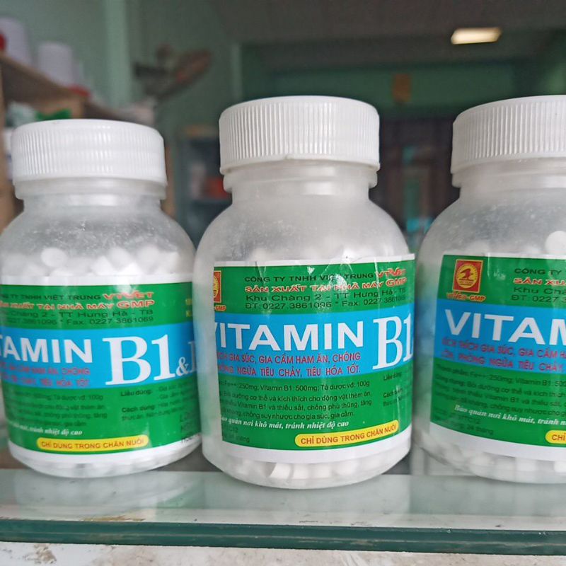 1200 Viên vitamin B1 giúp gia súc chó mèo ham ăn
