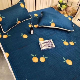 Chiếu điều hòa tencel loại 1 (1 chiếu + 2 vỏ gối)