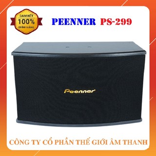 Loa Karaoke Peenner PS-299