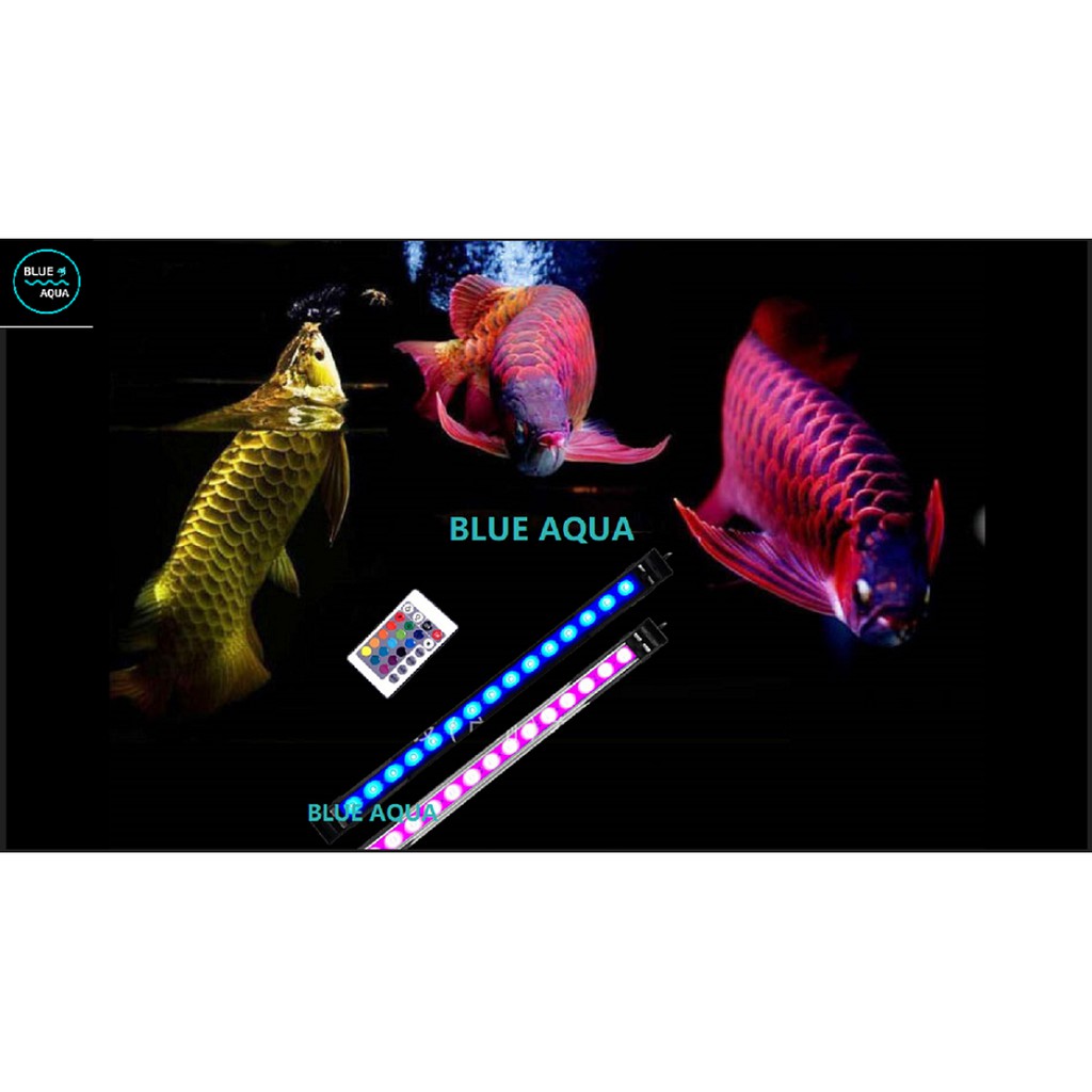 Đèn Led RGB Remote Đổi Màu Cho Hồ Cá