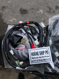 Dây điện sườn wave dream chính hãng