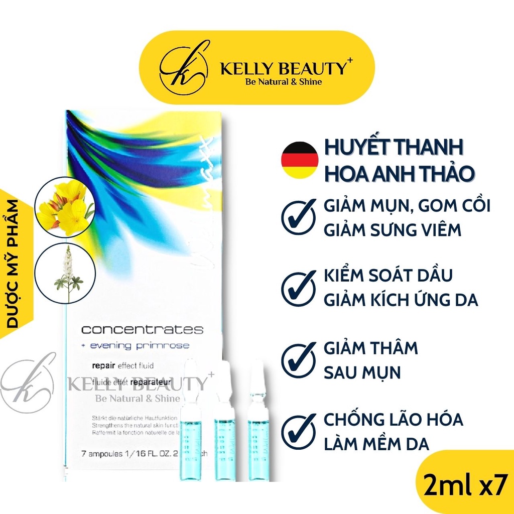 Huyết Thanh Hoa Anh Thảo WELLMAXX - Giảm Sưng Viêm, Ngừa Mụn; Kiềm Dầu, Mờ Thâm Mụn, Sáng Da | Kelly Beauty