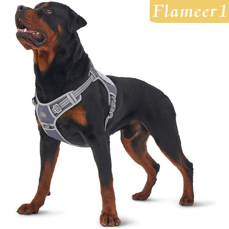 [Flameameer1] Áo Vest Phản Quang An Toàn Dành Cho Chó Cỡ Nhỏ / Vừa / Lớn