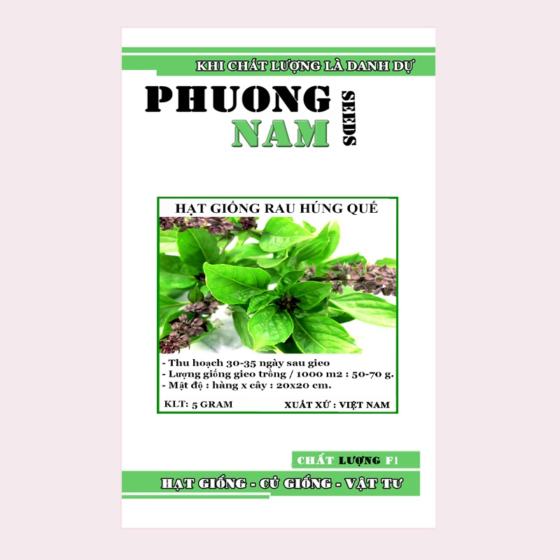 5GR - HẠT GIỐNG RAU HÚNG QUẾ