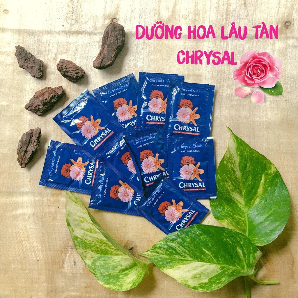 [100 gói] Dưỡng Hoa Lâu Tàn Chrysal - dưỡng hoa tươi lâu, không thối nước - Hạt giống Rạng Đông