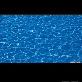 Tranh 3D dán trang trí bể cá cảnh