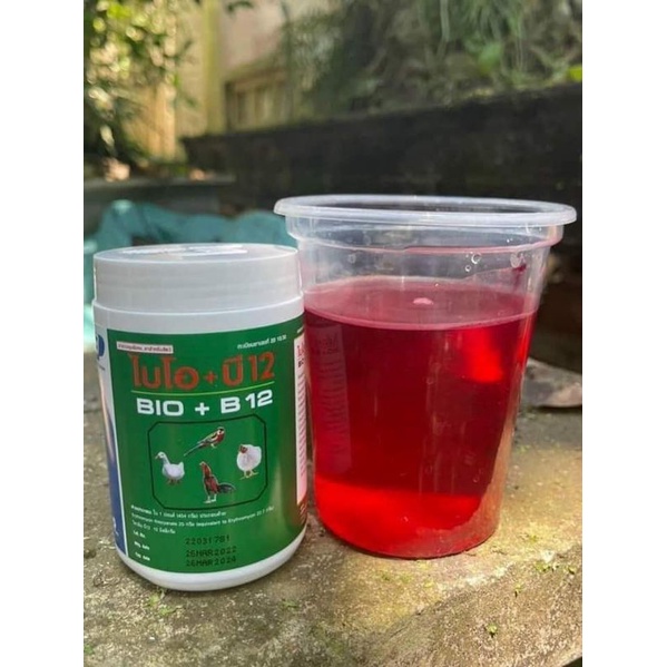 [DT] Bio B12 113,5 gr Thái Lan ÚM GÀ CON , vịt,
