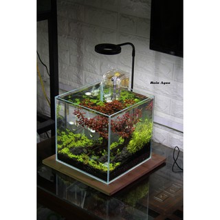 Đèn led rọi đế gỗ cho bể cá thủy sinh, bán cạn terarium