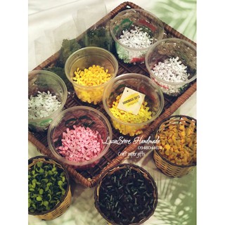 Set Cánh, Nhuỵ, Đài và Lá Cúc Tana
