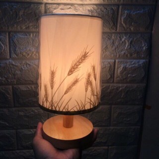 ĐÈN NGỦ GIÁ RẺ ( CÓ TĂNG GIẢM ÁNH SÁNG )