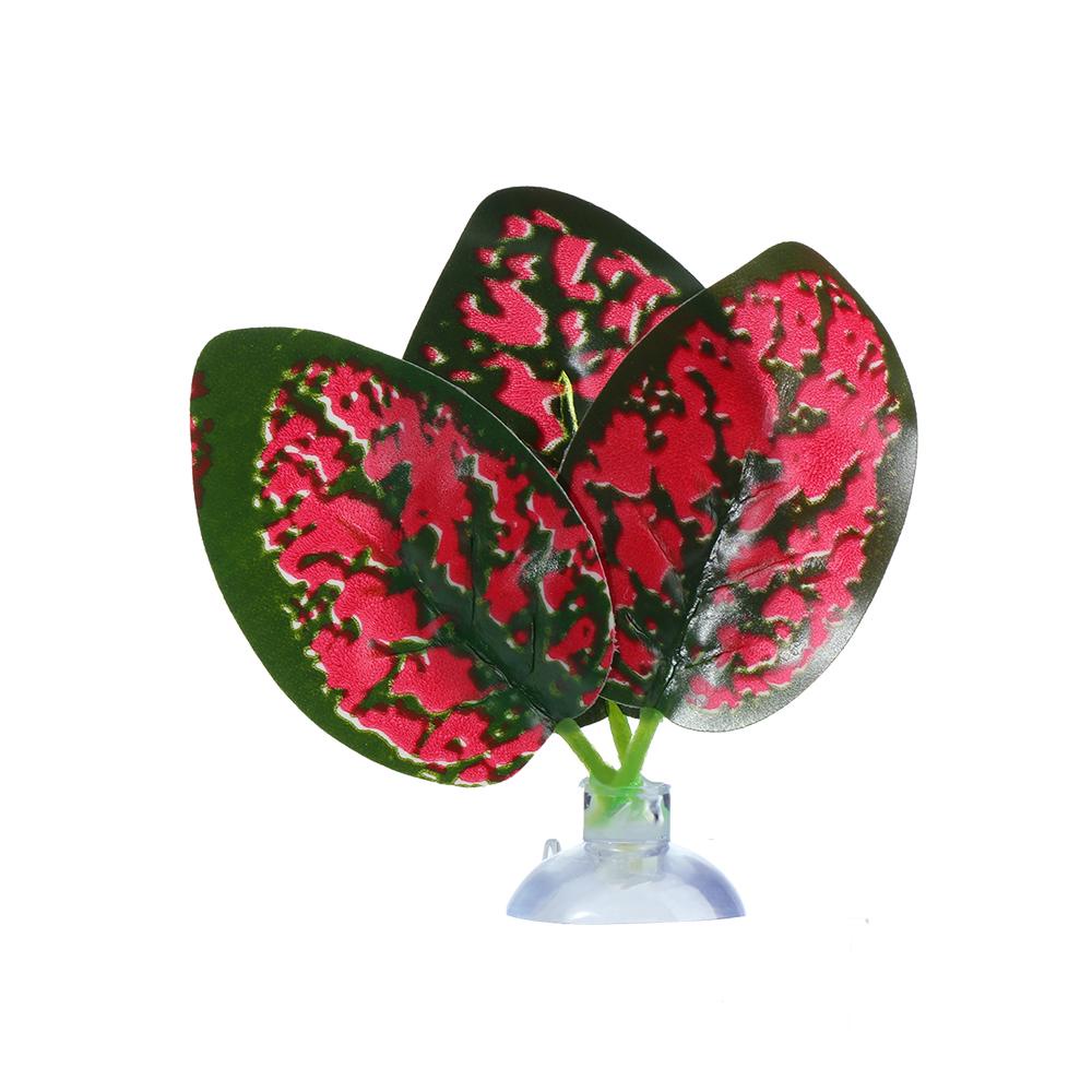 Lá Cây Giải Trí Mới Làm Quà Tặng