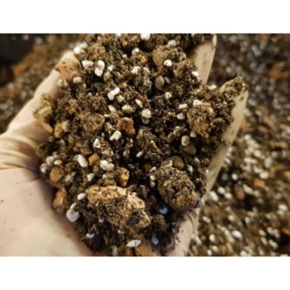 Đất Trồng Sen Đá Cao Cấp 10kg