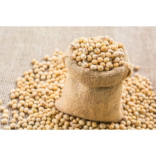 500g ĐẬU XANH LÀM GIÁ