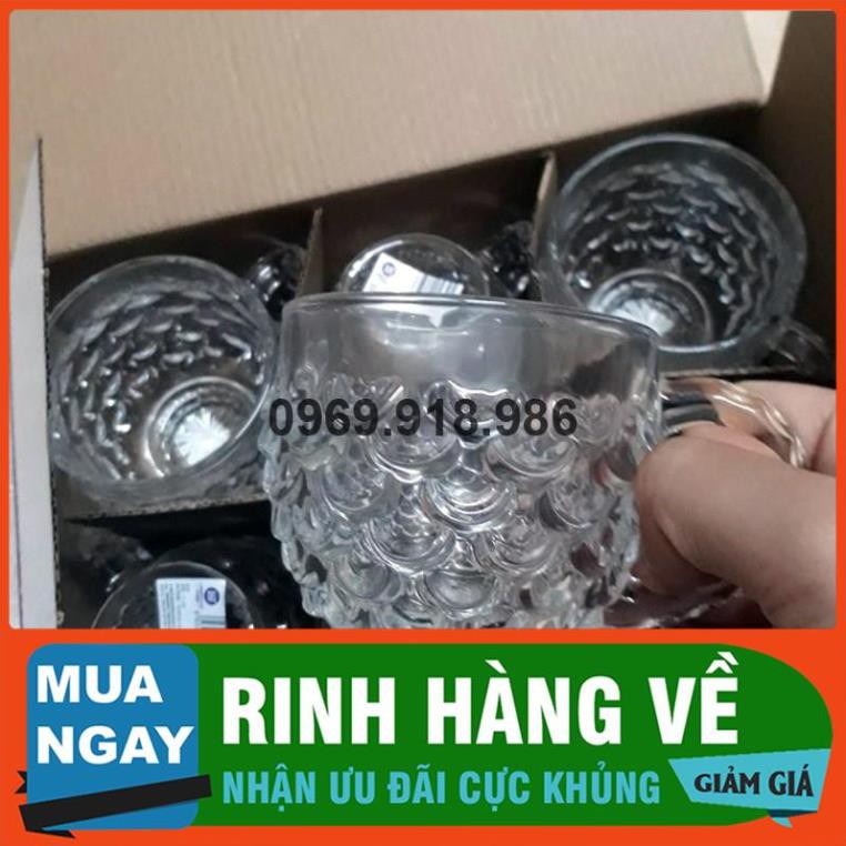 🍕 Bộ Ly Cốc Thủy Tinh Uống Nước 6 Chiếc Đẹp Cao Cấp Giá Gốc Sỉ Rẻ 💐 Tổng Kho Gia Dụng Bình Phước 💐