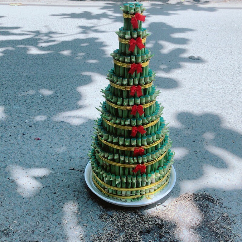 Trúc Phát Tài 9 Tầng Kèm Dĩa