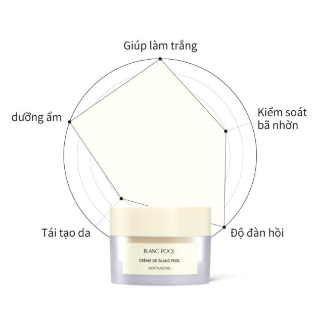 [COCOROO] Kem dưỡng da ban đêm BLANC POOL / Face Cream / dưỡng ẩm / làm trắng / tái tạo da