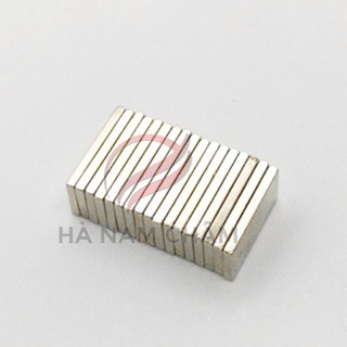 nam châm vĩnh cửu - bộ 10 nam châm mạ nicuni D20x10x2mm