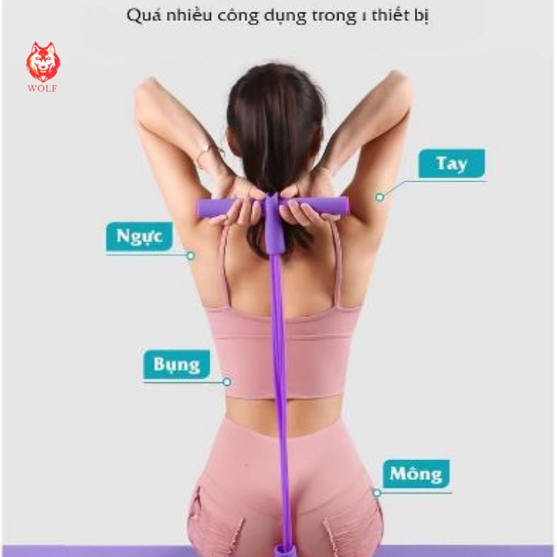 Combo Thảm Yoga Gym Cao Cấp Chống Trượt + Dây Kéo Kháng Lực 4 Dây Cao Su + Con Lăn Tập Bụng Eo Hiệu Quả