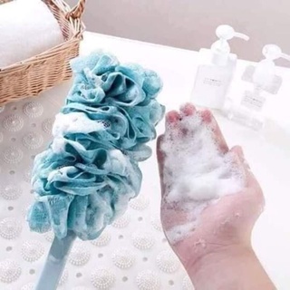 CÂY BÔNG TẮM KỲ LƯNG