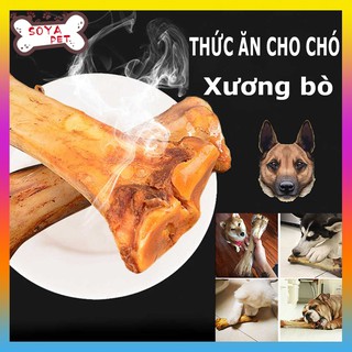 THỨC ĂN CHO CHÓ----Xương bò.Husky / Poodle / Golden / Pug / Akita / Shiba / Bulldog /Samoyed