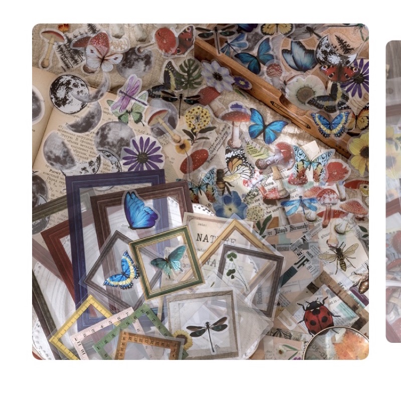 Bộ sticker khung rừng hoa thực vật