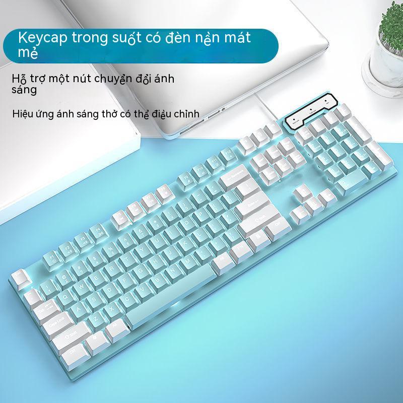 Bộ Bàn Phím Cơ Và Chuột Chơi Game Có Dây Không Gây Tiếng Ồn Cho Máy Tính