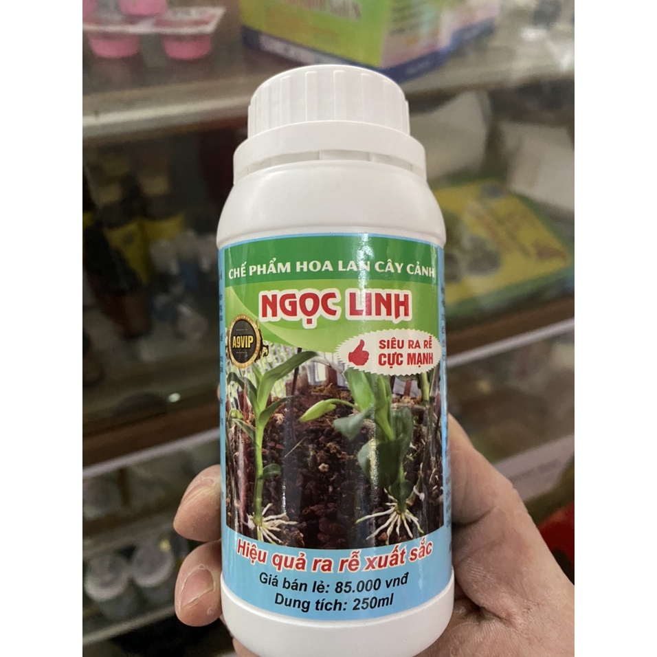 Siêu kích rễ chuyên dùng cho hoa Phong Lan & cây kiểng Ngọc Linh (chai 250ml)