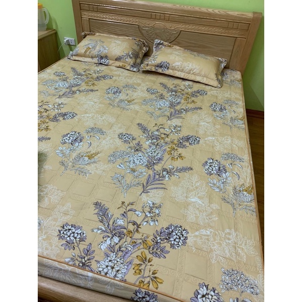 Bộ ga gối cotton lụa hàn quốc Alnena Ngọc Nữ