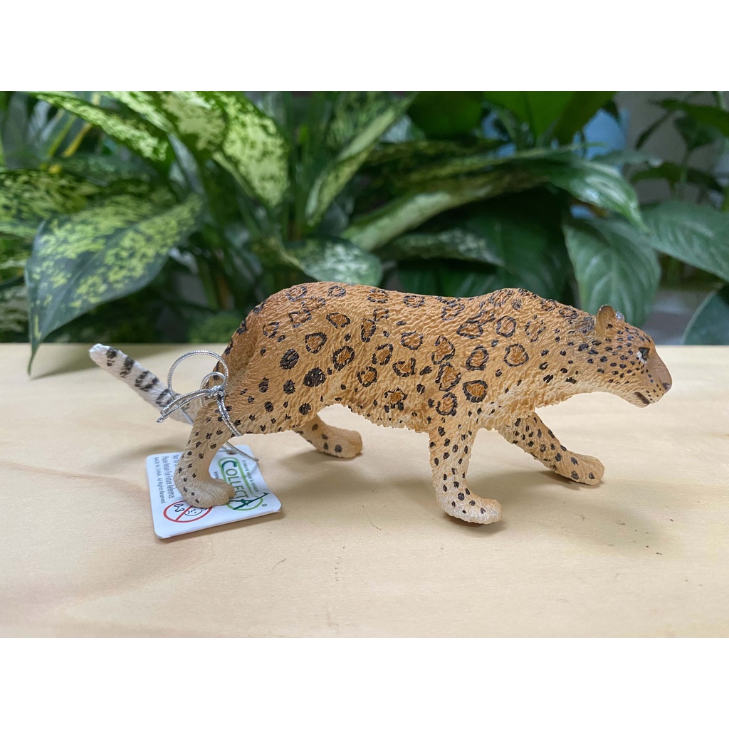 Mô hình động vật: Báo Hoa Mai