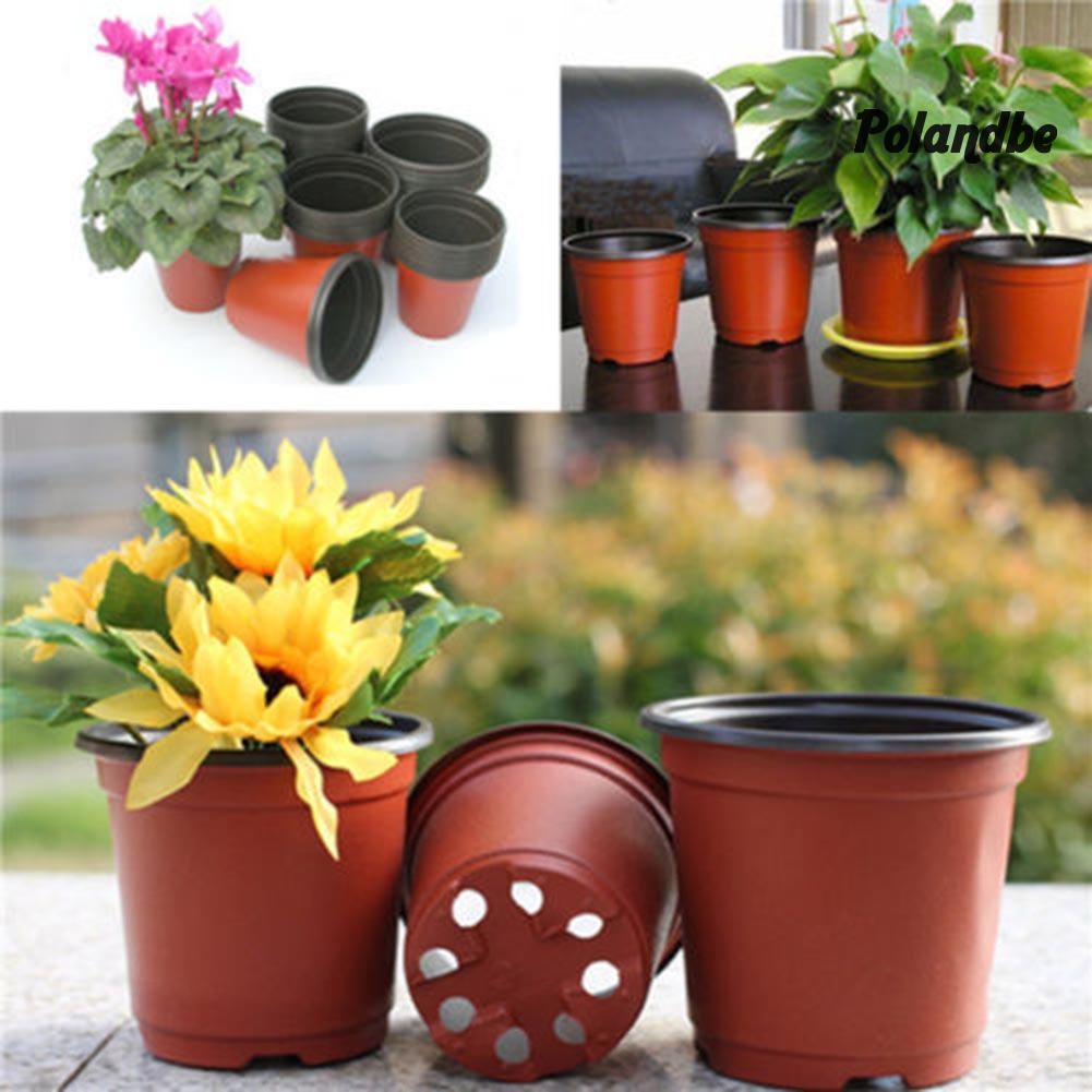 10 Chậu Hoa Nhựa Pe Nhỏ
