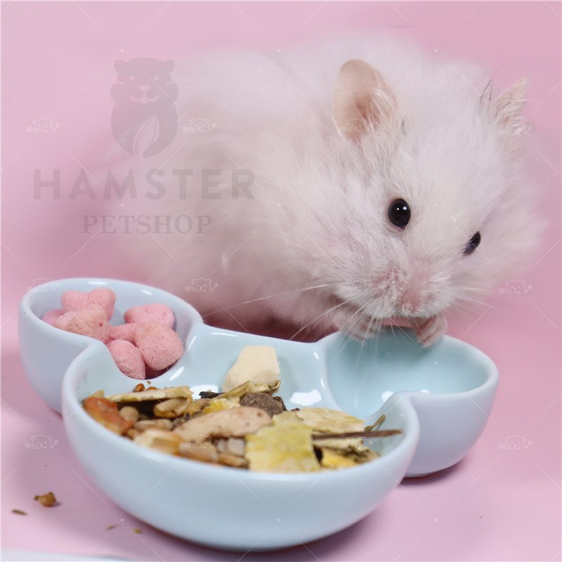 Bát ăn cho Hamster hình gấu