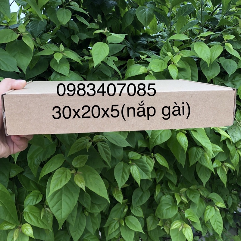 30x20x5 hộp carton nắp gài