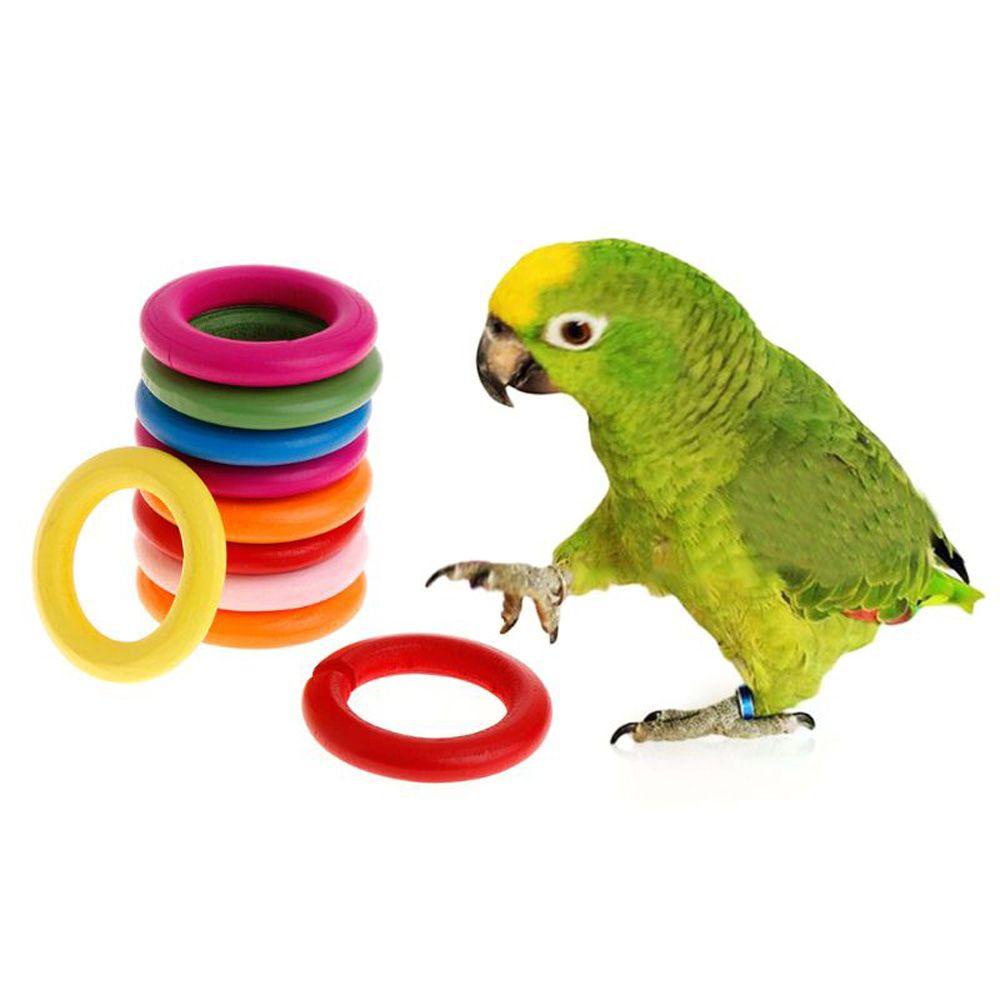 Đồ Chơi Trang Trí Lồng Chim Vẹt DIY