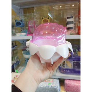 nhà tắm hoa sen cho hamster