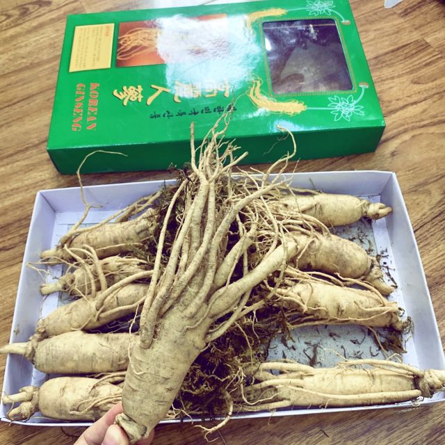 Sâm tươi 10,11củ/ kg (500g)