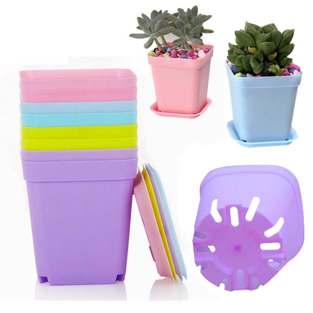 Chậu Nhựa Trồng Cây Mini Nhiều Màu