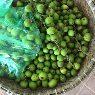 Quả sung nếp 1kg
