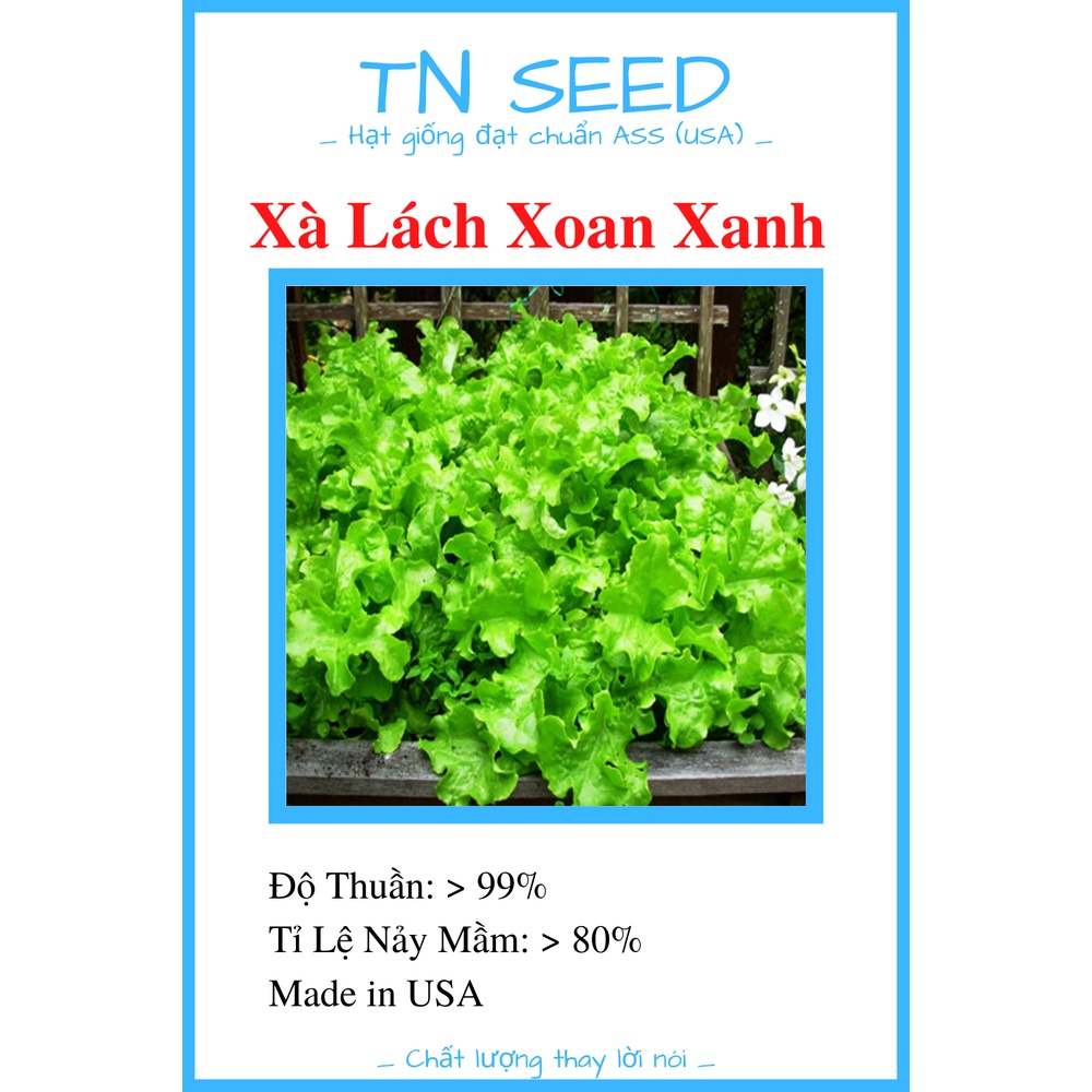Hạt Giống Xà Lách Xoan Xanh [5g]