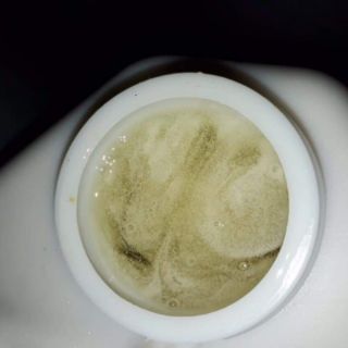 Mật ong trắng ( mật hoa blong song)