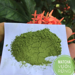 Matcha Trà xanh - AN VÂN TRÀ