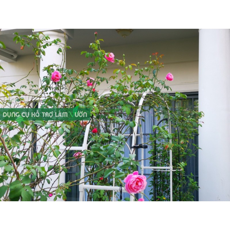 Khung vòm cổng cổng hoa trồng hồng  cao 225cm chiều sâu 31cm 2 màu trắng đen