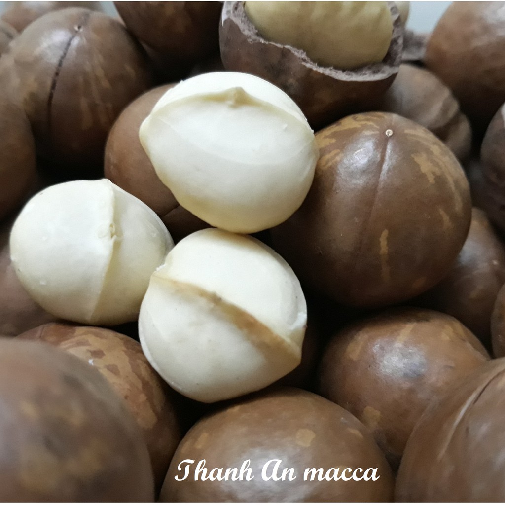 Thanh An Macca Sạch 500gr Size Nhỏ, Sấy Nứt Vỏ Lâm Đồng, Macadamia Kèm Lẫy