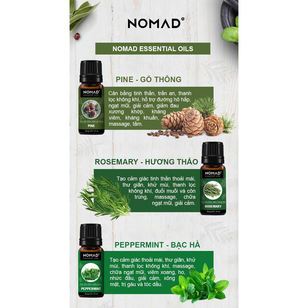 [Tăng Cường Năng Lượng &amp; Tập Trung Tinh Thần Cao Độ] - Combo 3 Tinh Dầu Lavender (10ml) + Cam (10ml) + Hương Thảo (10ml)